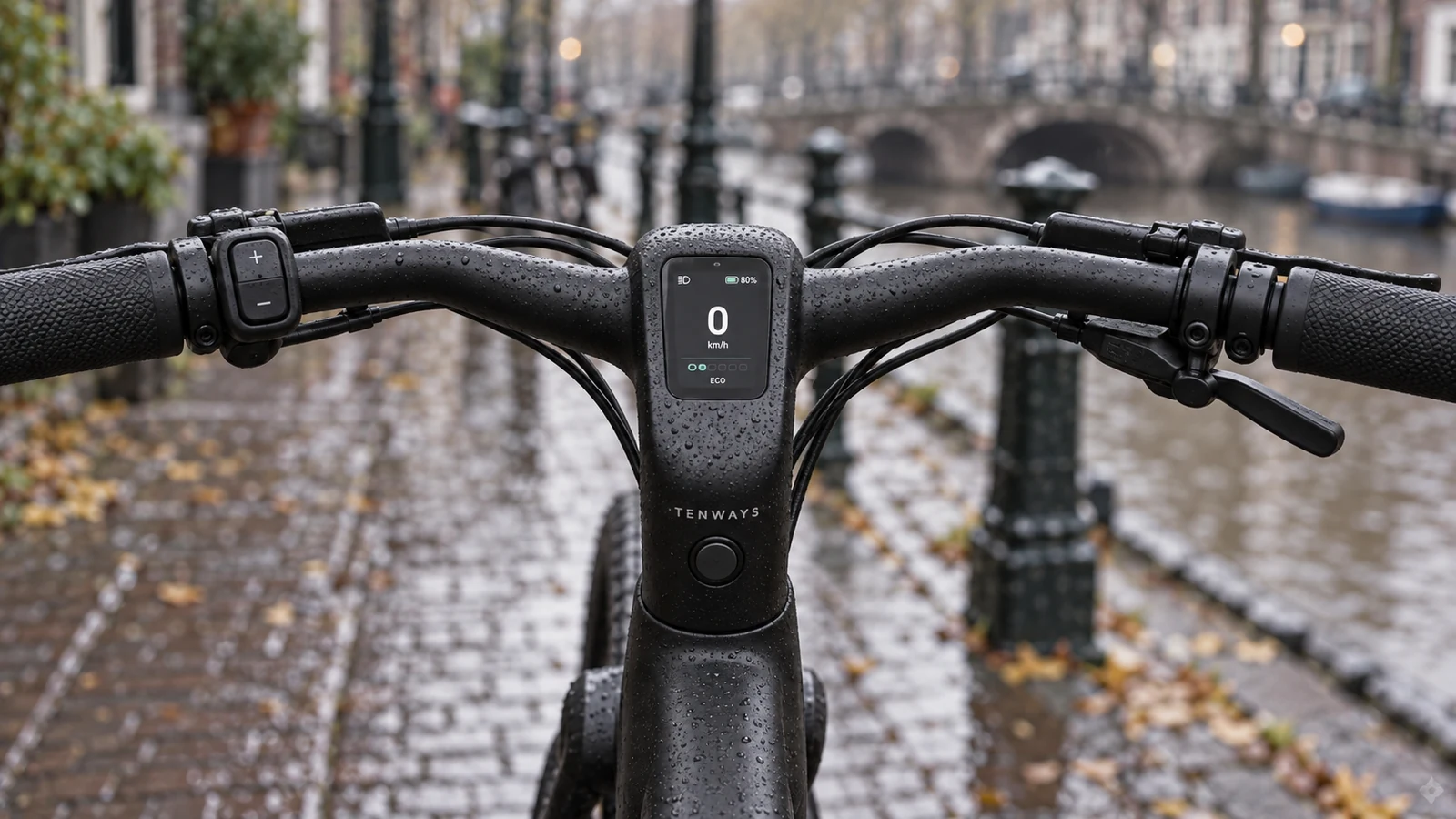 Stuur, display en bediening van een Tenways CGO009